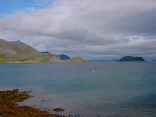 PICT0291
