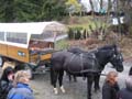 Sommer 08 033