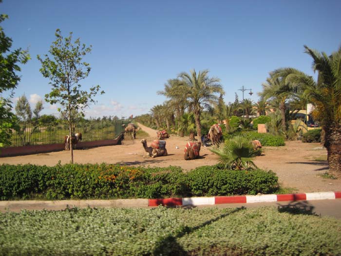 Marokko09 135