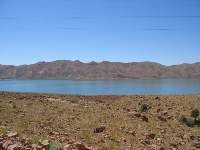 img_0772.jpg