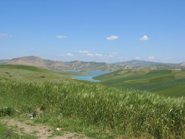 img_0848.jpg