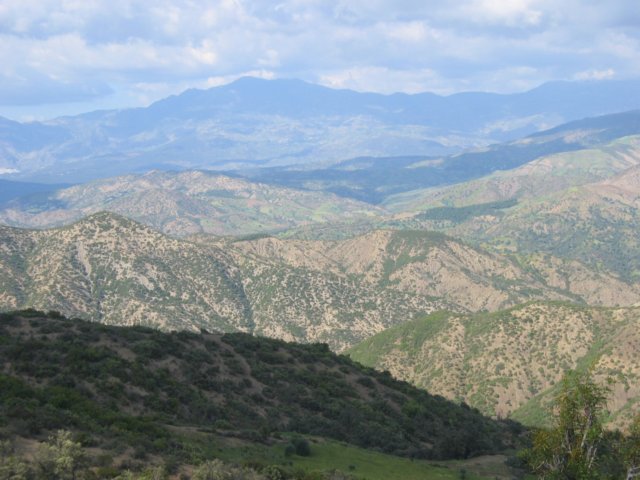 img_0854.jpg