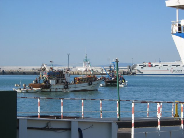 img_0886.jpg