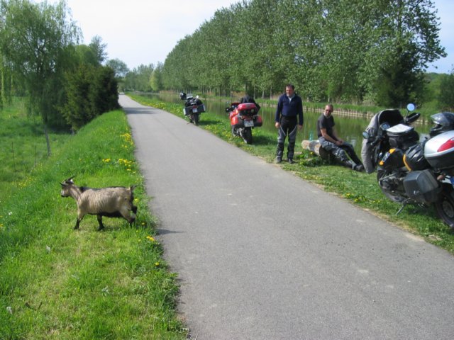 img_0917.jpg